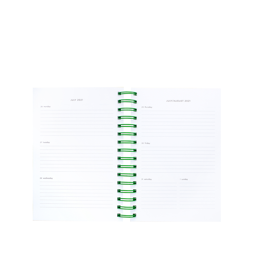 
                      
                        12 Month Large Planner - Enchanted Stripes
                      
                    