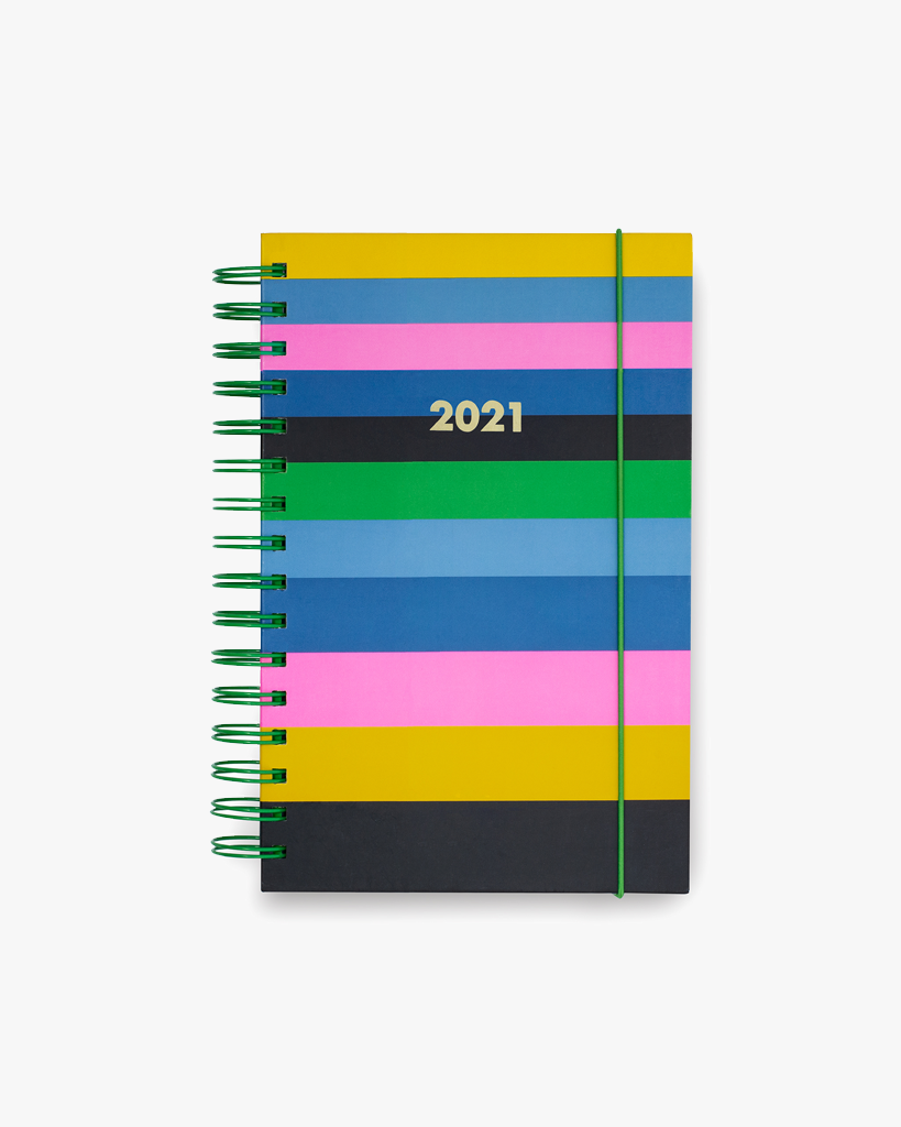 12 Month Medium Planner - Enchanted Stripes