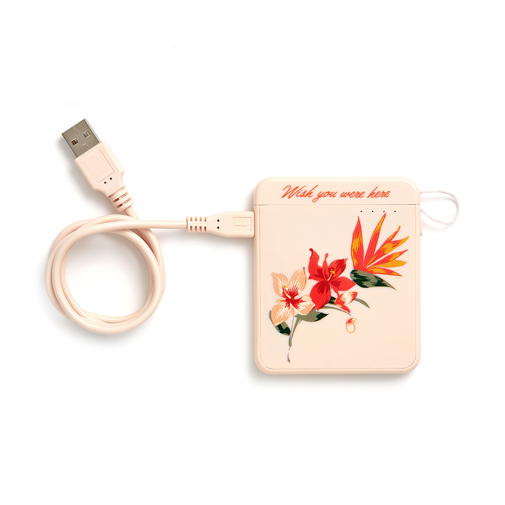 Back Me Up Mobile Charger - Paradiso