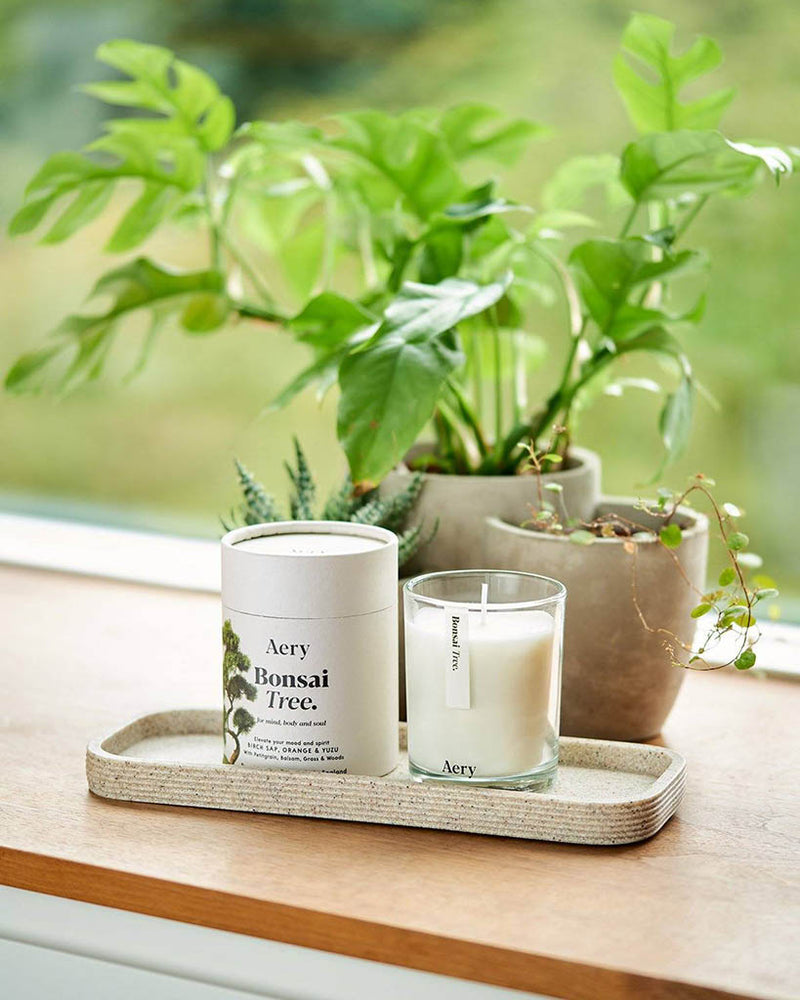 
                      
                        Botanical Scented Candle - Bonsai Tree [PRE ORDER]
                      
                    