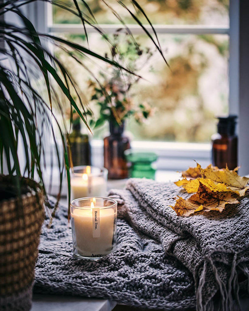
                      
                        Botanical Scented Candle - Bonsai Tree [PRE ORDER]
                      
                    