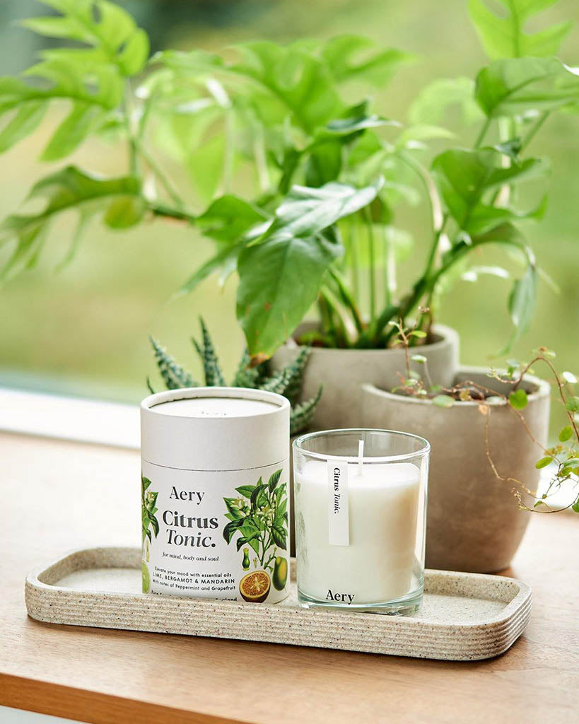 Botanical Scented Candle - Citrus Tonic [PRE ORDER]
