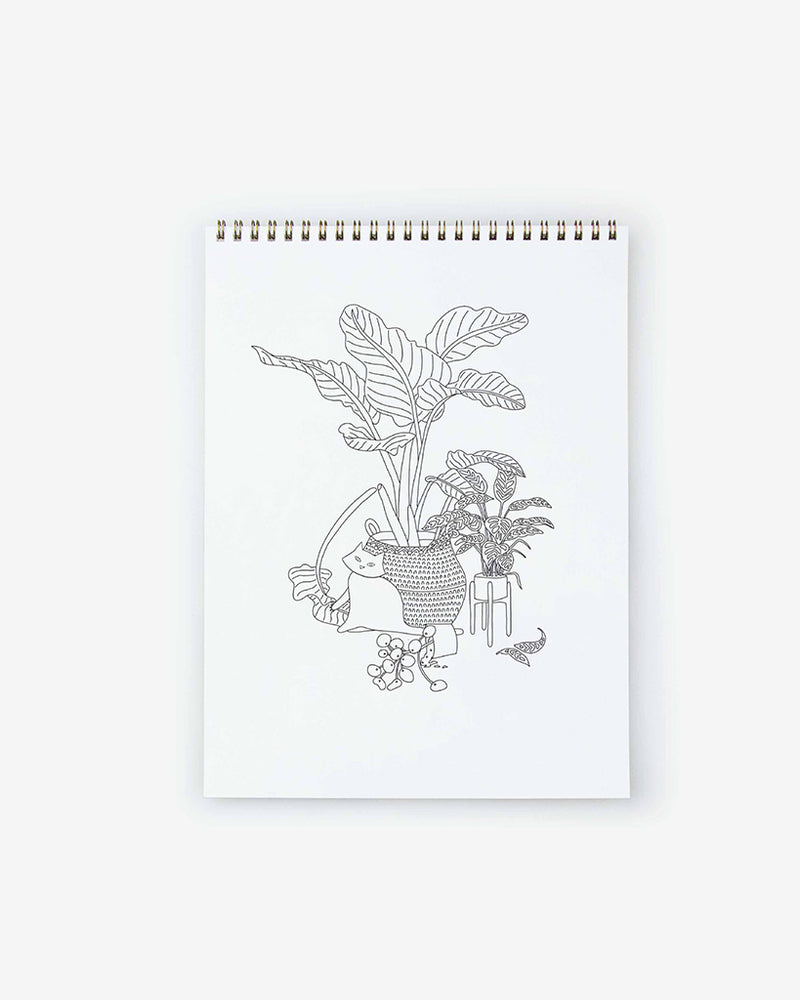 
                      
                        Coloring Book - Volume 2
                      
                    