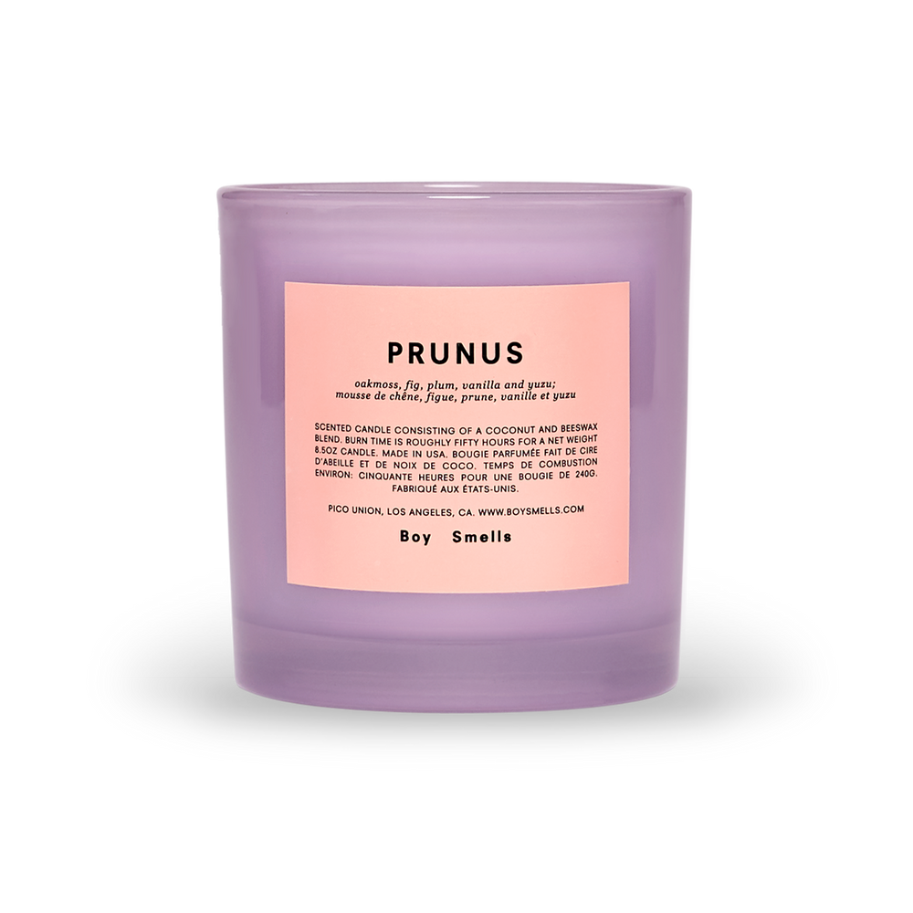 
                      
                        Candle - Prunus
                      
                    