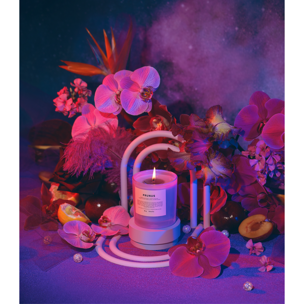 
                      
                        Candle - Prunus
                      
                    