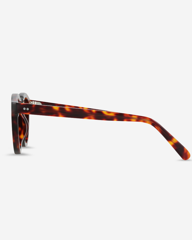 
                      
                        Detached - Brown Tort
                      
                    