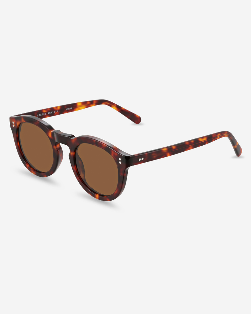 
                      
                        Detached - Brown Tort
                      
                    