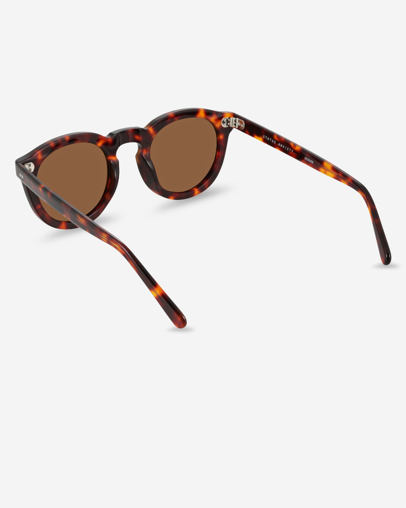 
                      
                        Detached - Brown Tort
                      
                    