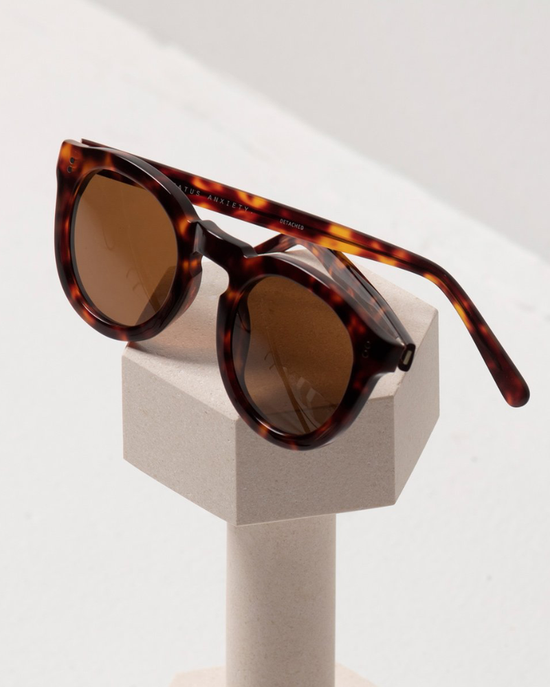 
                      
                        Detached - Brown Tort
                      
                    