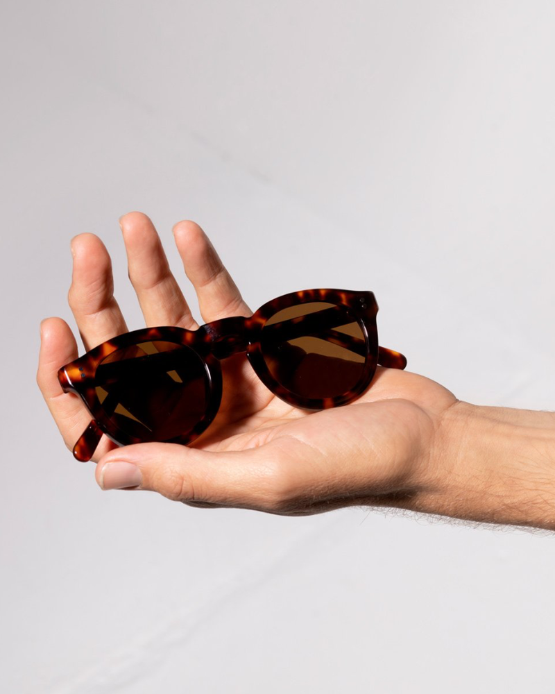 
                      
                        Detached - Brown Tort
                      
                    