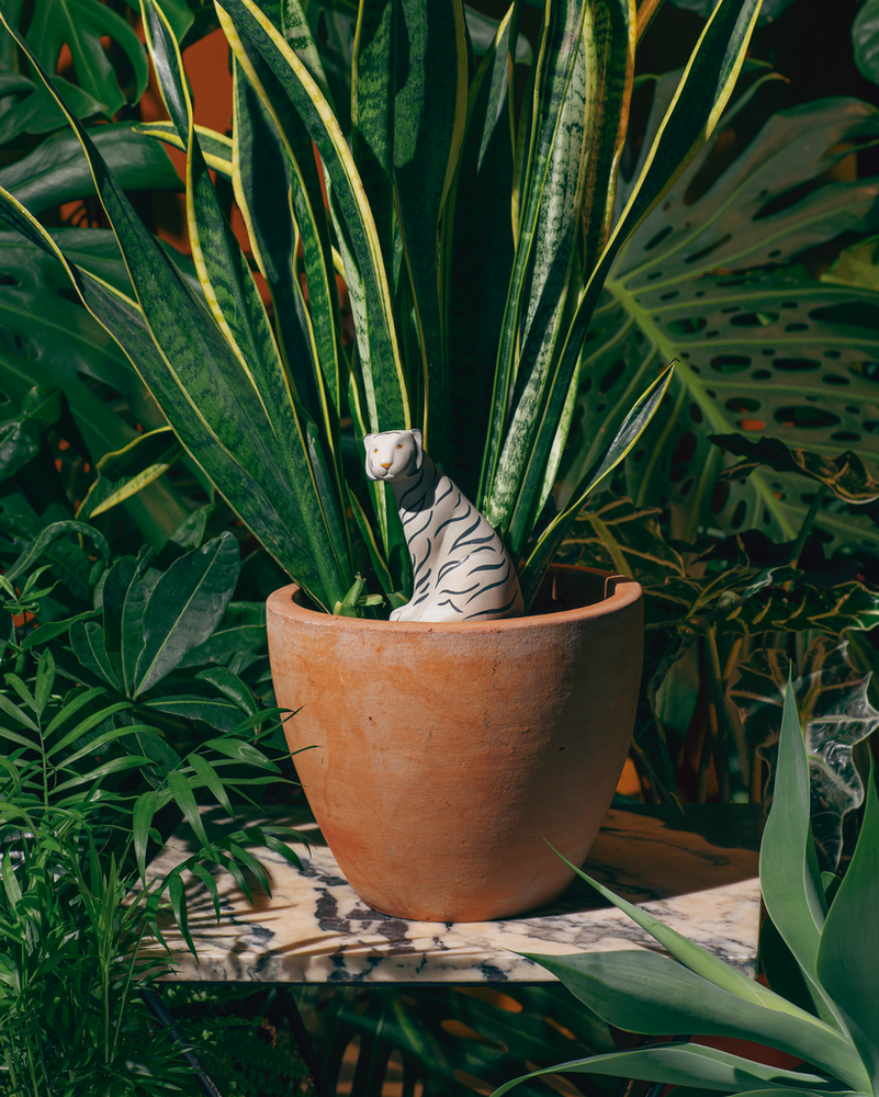 
                      
                        Self-Watering System - Tiger
                      
                    