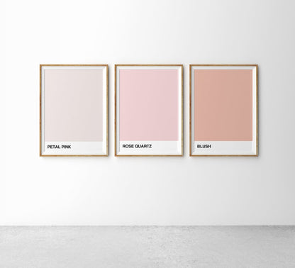 Art Print - The Tones: Petal Pink
