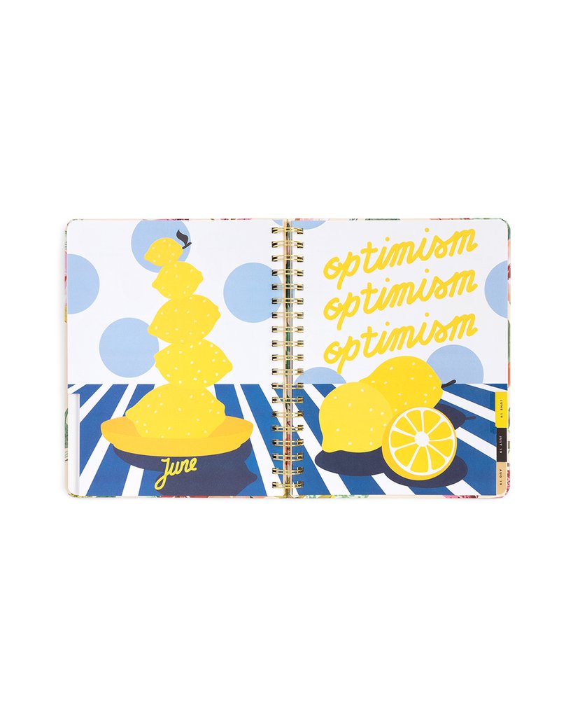 Planner 12-Month Large [2019 ANNUAL] - This Will Be My Year