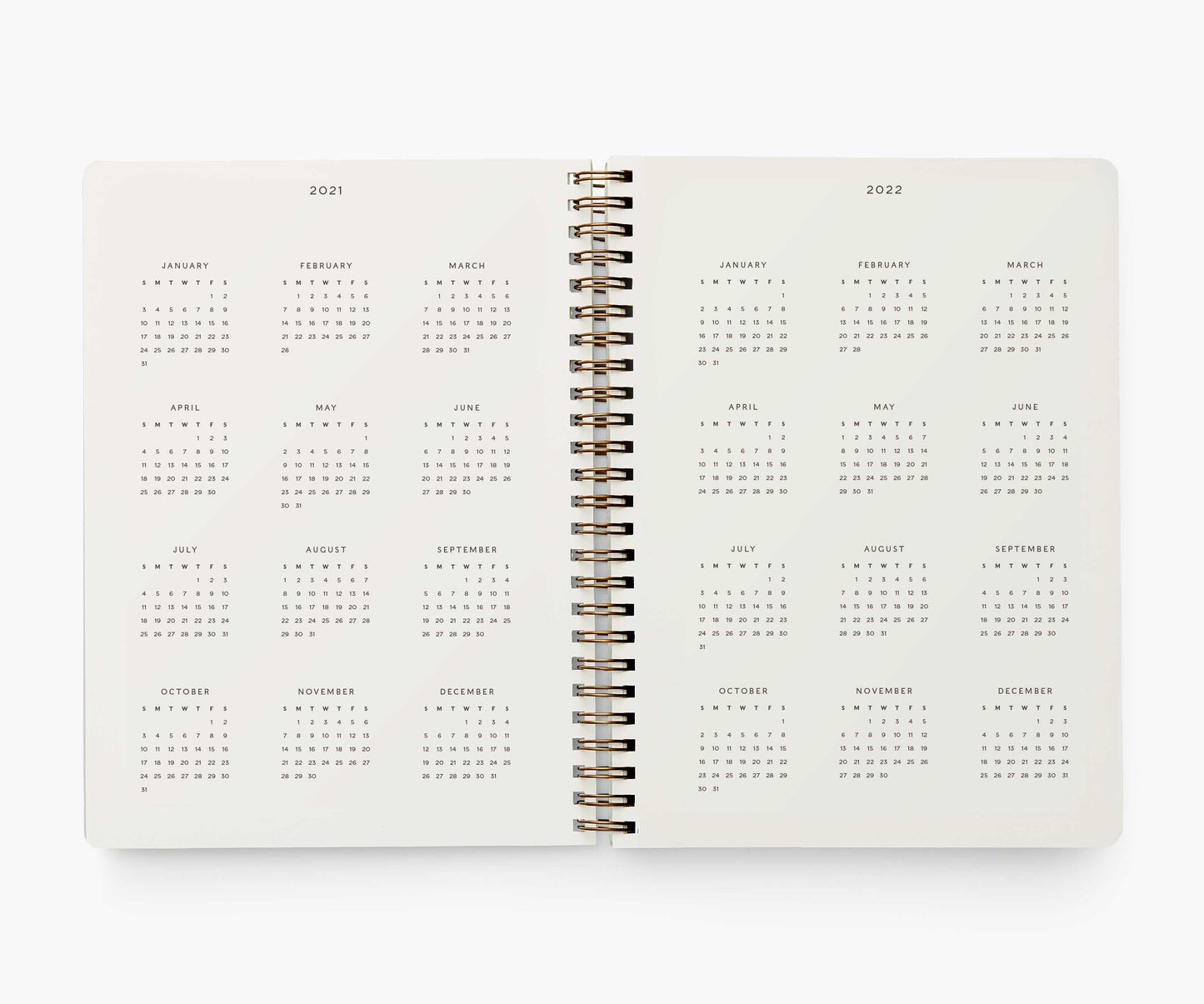 12-Month Softcover Spiral Planner 2021 - Strawberry Fields