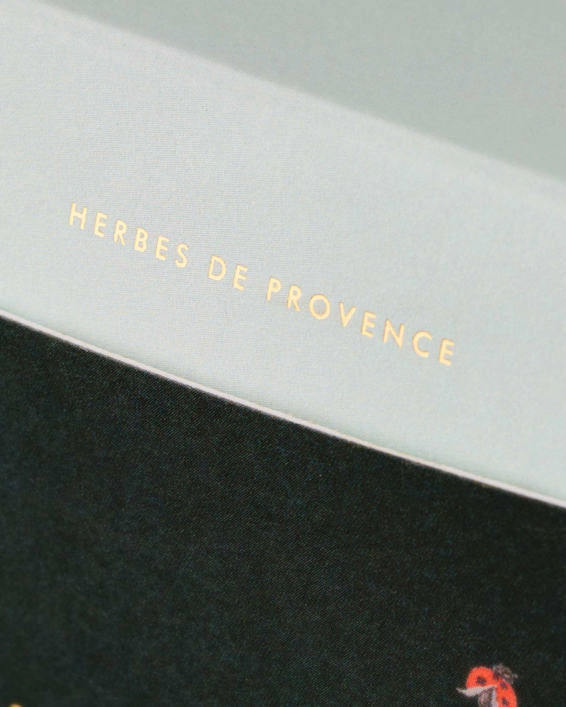
                      
                        Candle - Champs De France [PRE ORDER]
                      
                    
