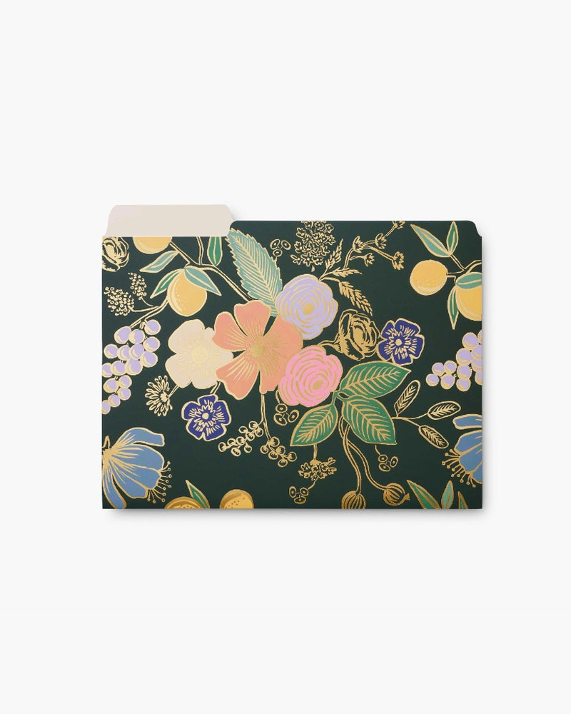
                      
                        File Folder Set - Colette [PRE ORDER]
                      
                    