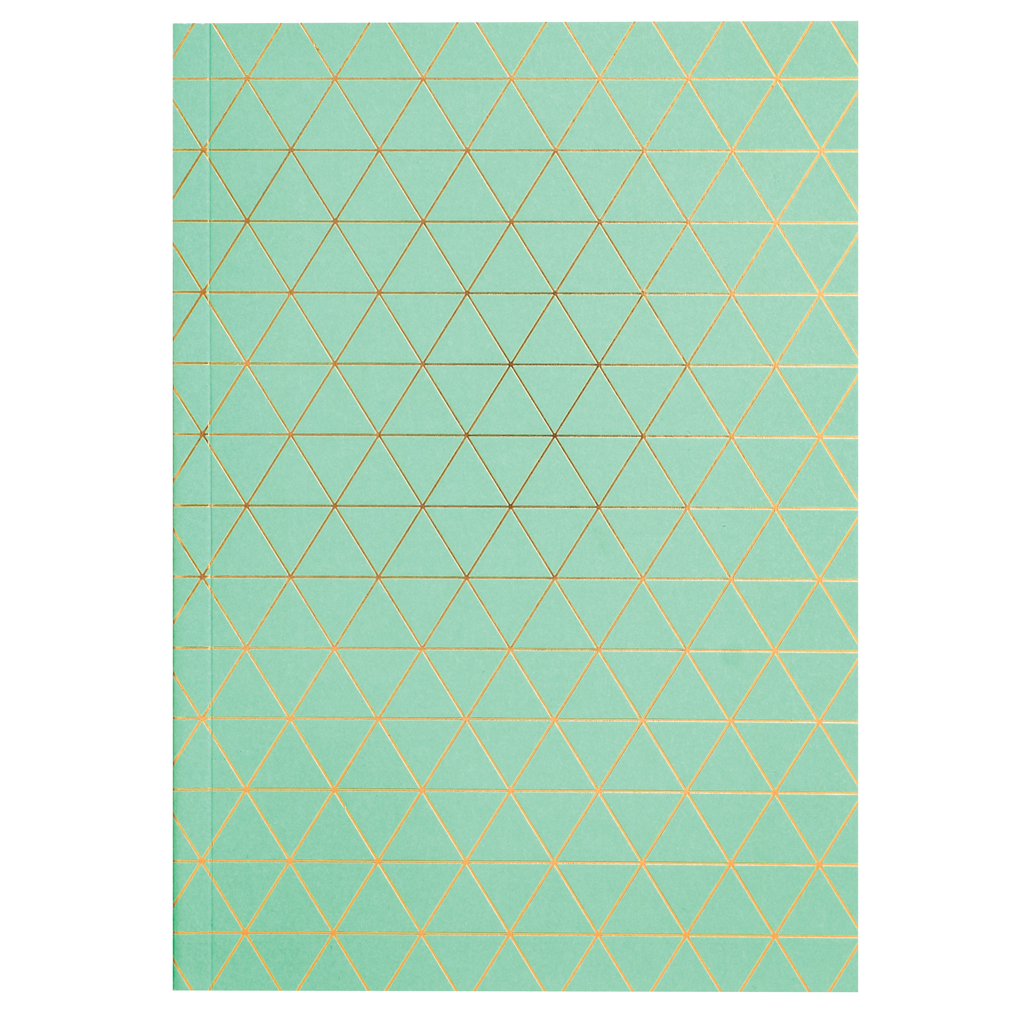 Exercise Books - Cerise + Mint