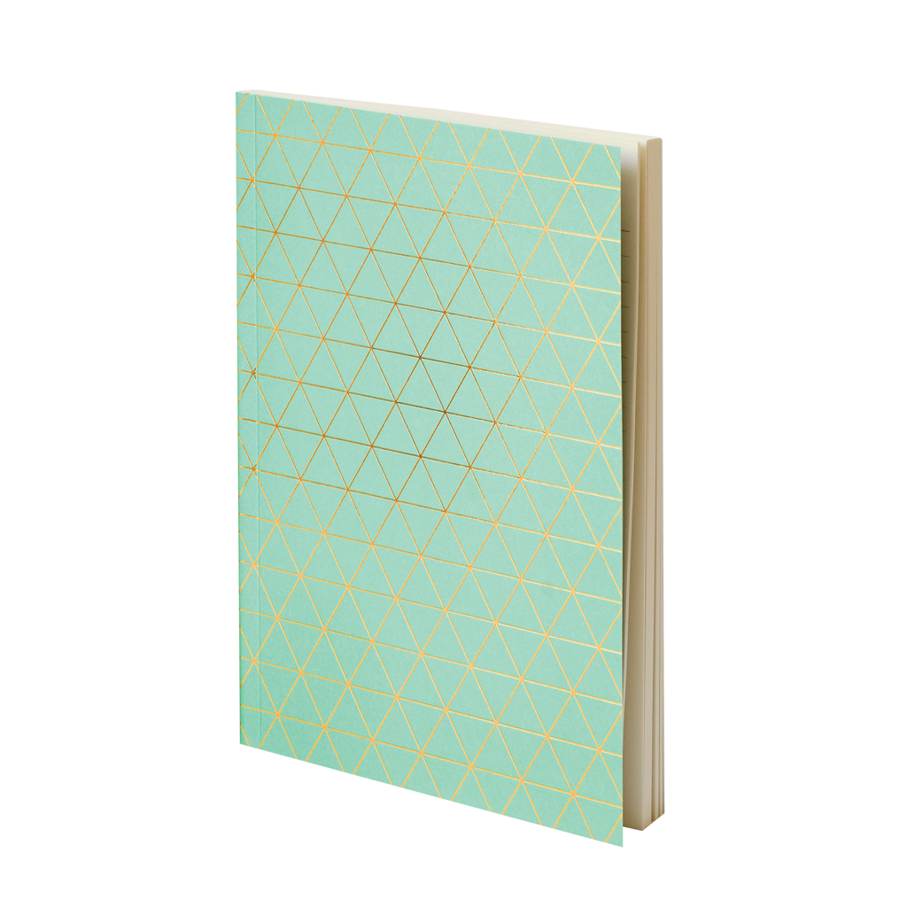 Exercise Books - Cerise + Mint