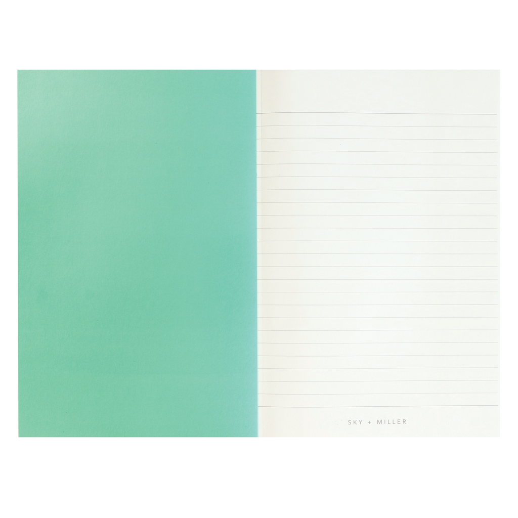 Exercise Books - Cerise + Mint