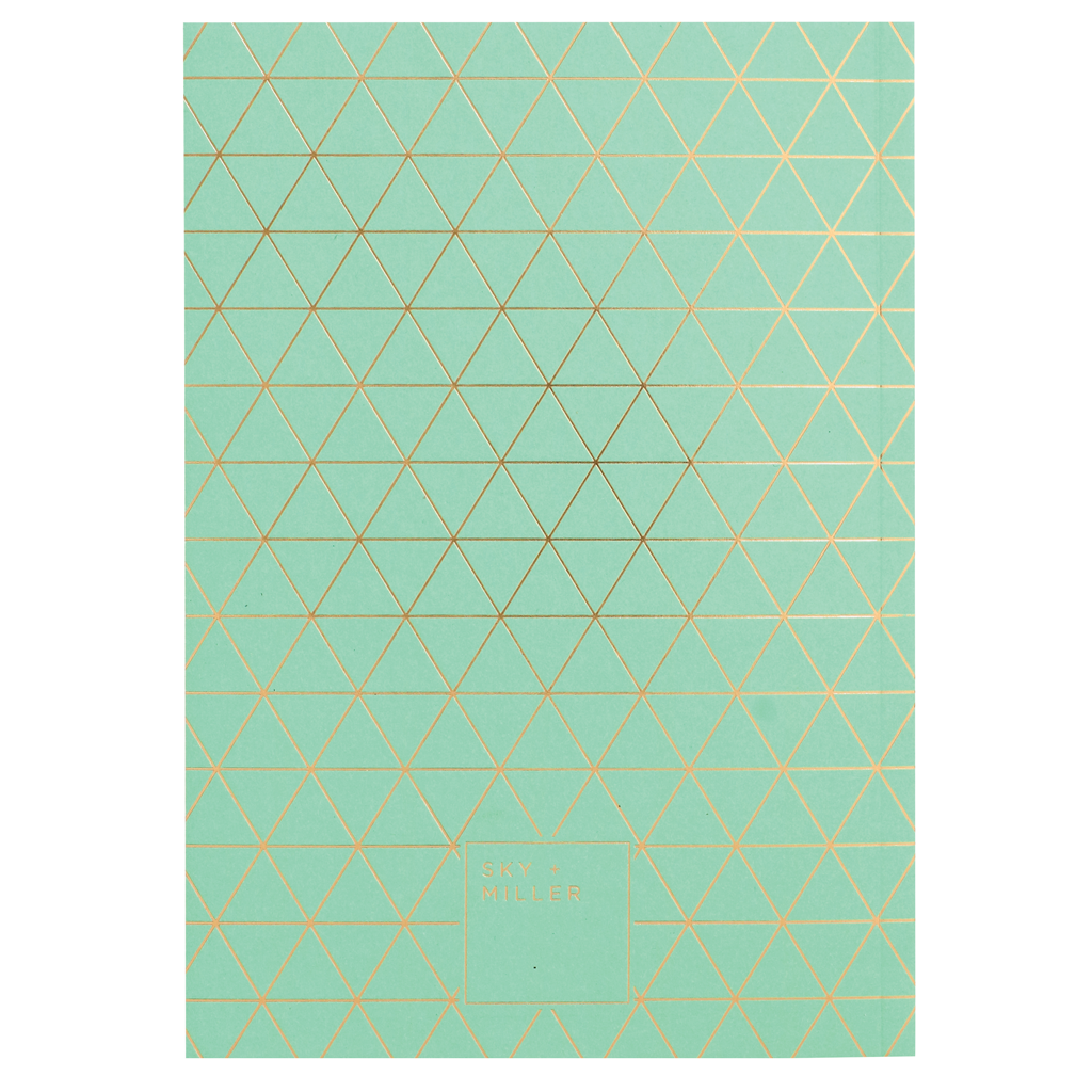 Exercise Books - Cerise + Mint