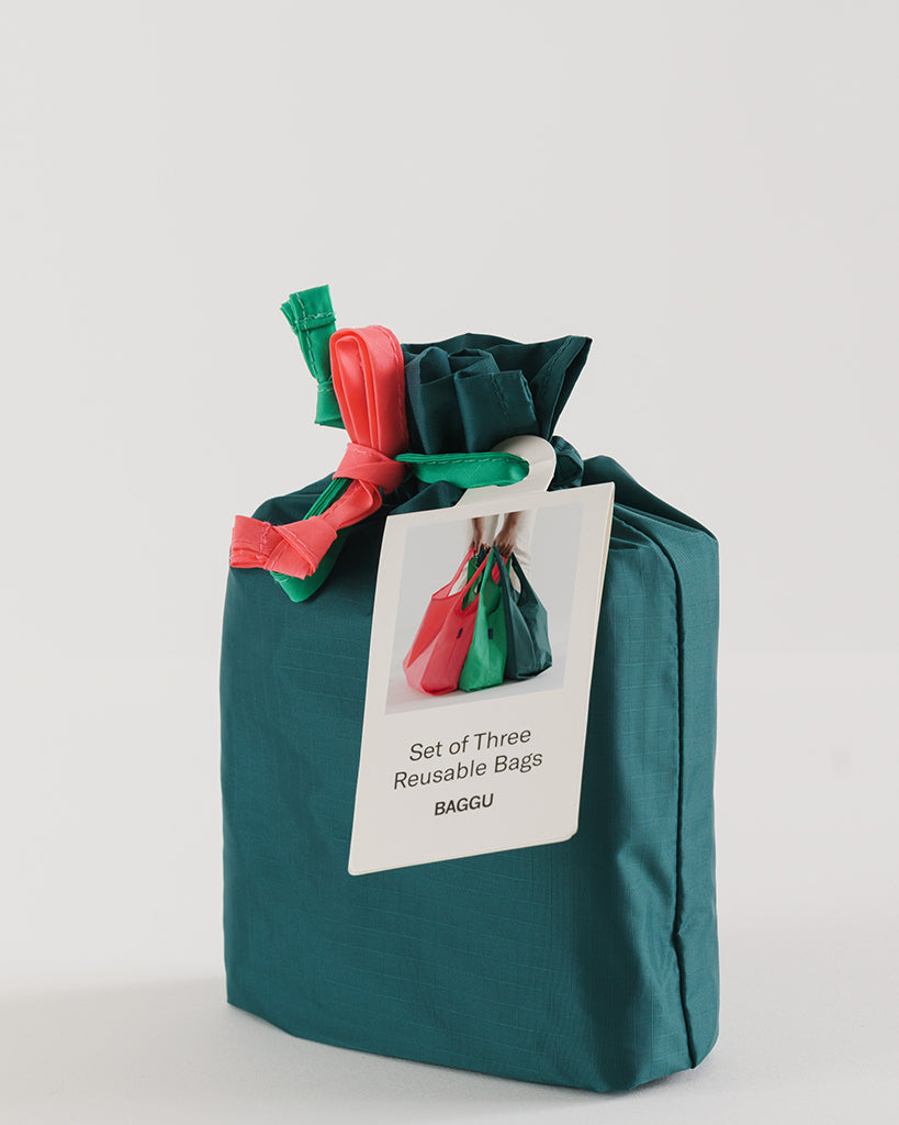 Standard Reusable Bags Set of 3 - Watermelon Slice